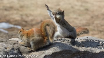 0EE374C0-81F3-4F49-BF87-13FA6344B6AB.jpeg 0EE374C0-81F3-4F49-BF87-13FA6344B6AB.jpeg