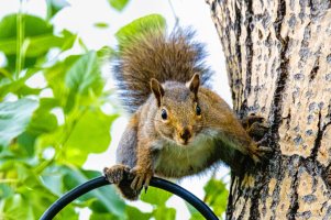 48053568942_5083912a30_o.jpg 48053568942_5083912a30_o.jpg