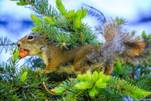 48032180742_41c02b567a_o.jpg 48032180742_41c02b567a_o.jpg