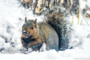 20191008 078b.jpg 20191008 078b.jpg