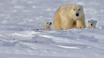 KATH3032 2560x1440.jpg