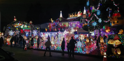 All I Want for Christmas is Lots of Lights.png