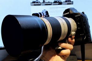 1D X MkII + 100-400 II.jpg
