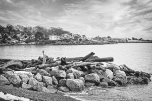 _36A1023_DxO copy.jpg