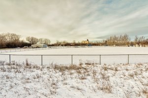 _36A6936_DxO.jpg