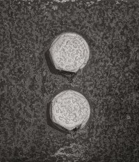 _36A6876_DxO-Edit copy.jpg