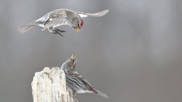 2 Death to You_s_30889.JPG