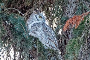 _36A7038_DxO copy.jpg