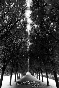 81147727_2696118470425872_3596615358951194624_o.jpg 81147727_2696118470425872_3596615358951194624_o.jpg