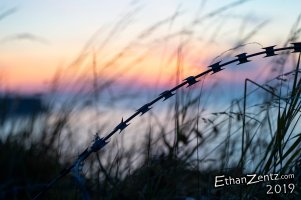 81513116_2696117730425946_7015070814424793088_o.jpg 81513116_2696117730425946_7015070814424793088_o.jpg