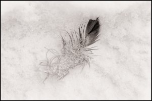 _MG_0125_DxO copy 2 copy.jpg