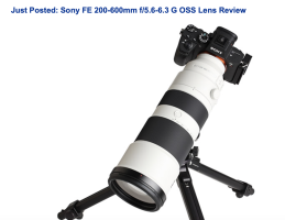 Screen Shot 2020-01-17 at 8.05.06 AM.png