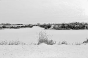 _36A7134_DxO (1).jpg