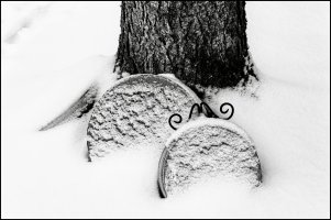 _MG_0123_DxO copy_DxO.jpg