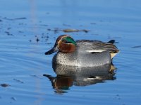 DSC_2842-DxO_male_teal.jpg