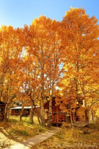 Fall colors at the cabin by Keith Breazeal.jpg Fall colors at the cabin by Keith Breazeal.jpg