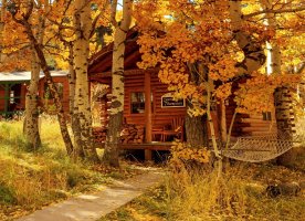 sample res Fall colors at the cabin by Keith Breazeal.jpg sample res Fall colors at the cabin by Keith Breazeal.jpg