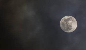 SHOT3933.jpg SHOT3933.jpg