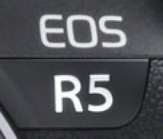 Screen Shot 2020-02-12 at 1.15.16 PM.png