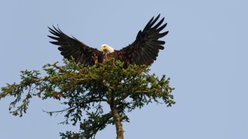 _E7A1774 - DxO-studio.jpg