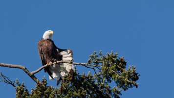 8E7A4304 - DxO-studio.jpg