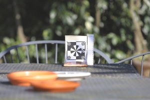 zoom 5.6 (ii) SMALL.jpg