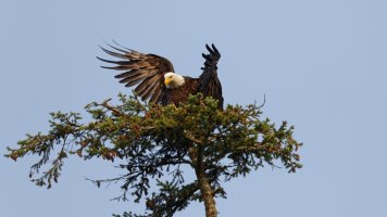 _E7A1775 - DxO-studio.jpg