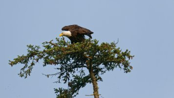 _E7A1780 - DxO-studio.jpg