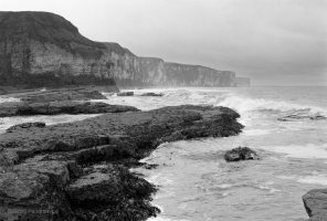 Bempton Cliffs.jpg