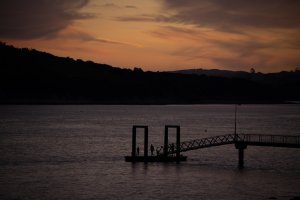 0S4A0524.jpg 0S4A0524.jpg