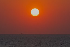 Interpoleringene1 (1).jpg