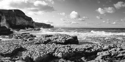 Bempton Cliffs pano small.jpg