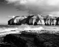 07110005B&W small.jpg