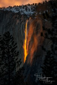 021617Yosemite-50.jpg