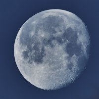 Moon01_7187_quality_99.62%annTwDweb.jpg