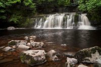 Cotter Force (_MG_3756).jpg