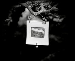 _36A7756_DxO copy.jpg