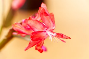 _MG_0154_DxO copy.jpg