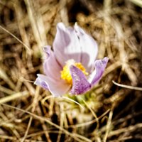 _36A8267_DxO copy.jpg