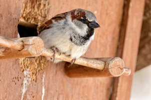 _36A8317_DxO copy.jpg