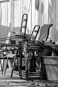 _36A8304_DxO copy.jpg