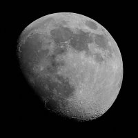 Moon7646OrigWeb.jpg