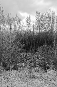 _MG_0315_DxO copy.jpg