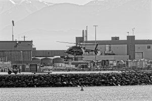 _36A7584_DxO copy.jpg