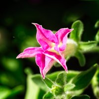 _36A8463_DxO copy.jpg