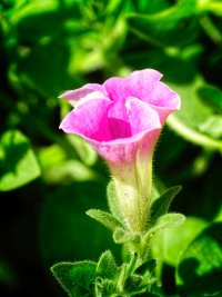 _36A8464_DxO copy copy.jpg