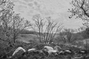 Street scene 9 copy.jpg