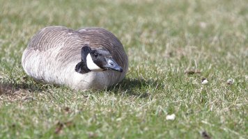 Our friend_s_51986.JPG