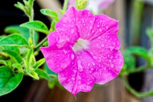 _MG_0566_DxO copy.jpg