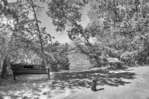 Street scene copy.jpg